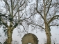platani-castellanza-01