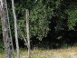 leccio-poggio-amaro-11