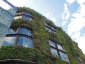 Il giardino verticale del Musée du quai Branly 16