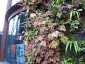 Il giardino verticale del Musée du quai Branly 17