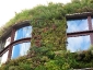 Il giardino verticale del Musée du quai Branly 19