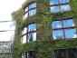 Il giardino verticale del Musée du quai Branly 25