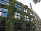 Il giardino verticale del Musée du quai Branly 28