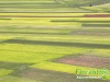 florablog-castelluccio-22.jpg