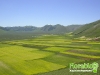 florablog-castelluccio-28.jpg