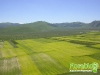 florablog-castelluccio-29.jpg