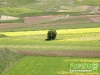 florablog-castelluccio-31.jpg