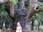 foresta-primaria-di-montes-07