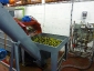 04-fine-lavaggio