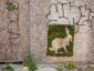 I graffiti verdi di Edina Tokodi