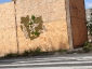 I graffiti verdi di Edina Tokodi