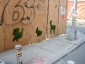 I graffiti verdi di Edina Tokodi