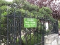 La Robinia pseudoacacia di square viviani a Parigi 7