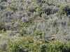 01-vigna-panoramica.jpg