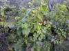 04-vite-02.jpg