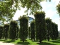 parc-ancre-citroen-08