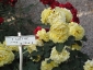 Florablog-Roseto-Botanico-Carla-Fineschi-94.jpg