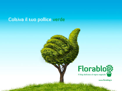 Florablog - Il blog dedicato al Regno vegetale
