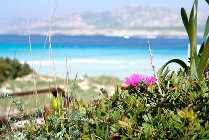 spiaggia-stintino