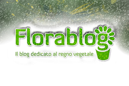 florablog-neve