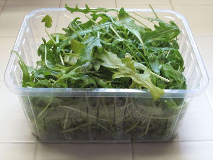 rucola-vs-rucola-03