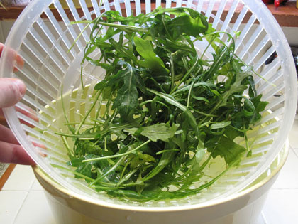 rucola-vs-rucola-05