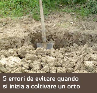 5 errori da evitare quando si inizia a coltivare un orto