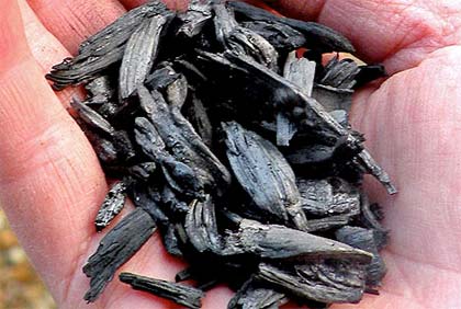 biochar