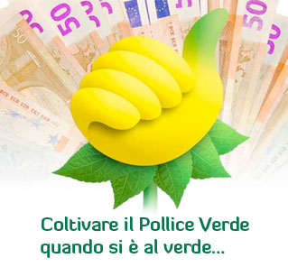 Coltivare il Pollice Verde quando si è al verde…