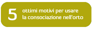 5 ottimi motivi per usare la consociazione nell’orto