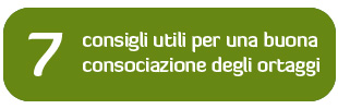 7 consigli utili per una buona consociazione degli ortaggi