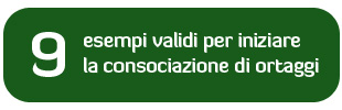 9 esempi validi per iniziare la consociazione di ortaggi