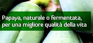 Papaya, naturale o fermentata, per una migliore qualità della vita